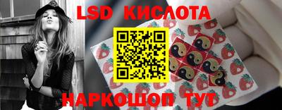 спайс Кандалакша