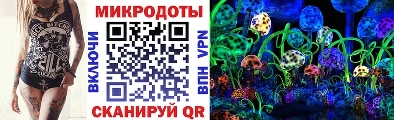 hydra ССЫЛКА  Чита  Псилоцибиновые грибы MAGIC MUSHROOMS 