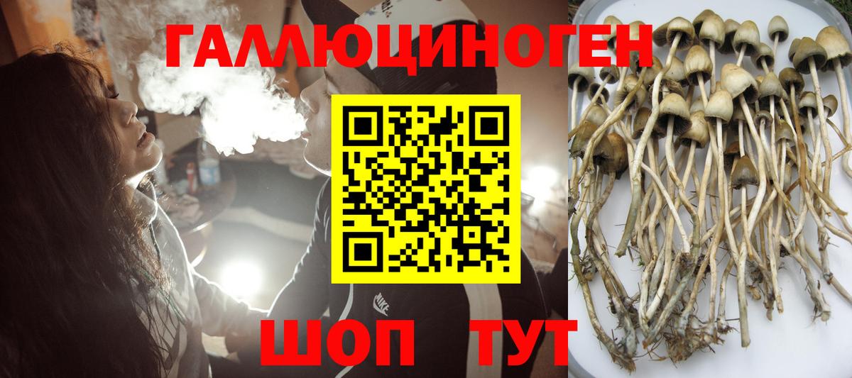 Чита  Псилоцибиновые грибы MAGIC MUSHROOMS  Псилоцибиновые грибы мухоморы  Вход с VPN 